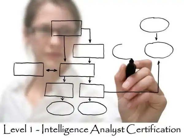 Powerful Link Analysis Tool – Audit Links in 3 Seconds
