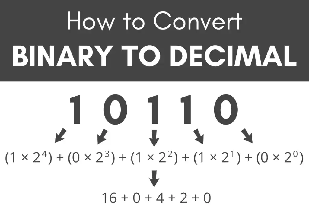 Trusted Binary to Decimal Converter – Easy & Fast in 1 Go