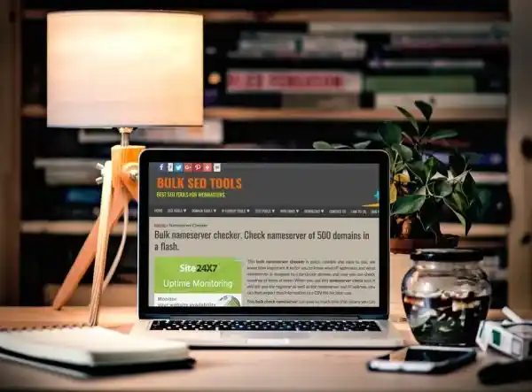Powerful Nameserver Lookup – Reveal DNS in 1 Click