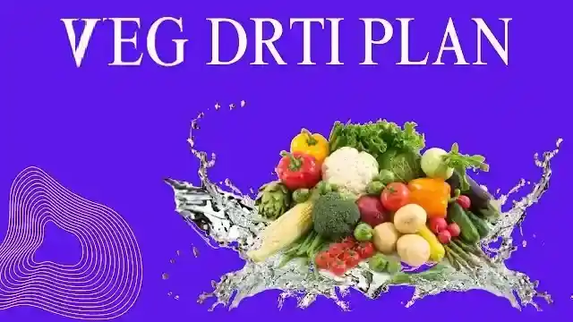 The Ultimate Veg Deit Plan 4 The Ultimate Veg Deit Plan